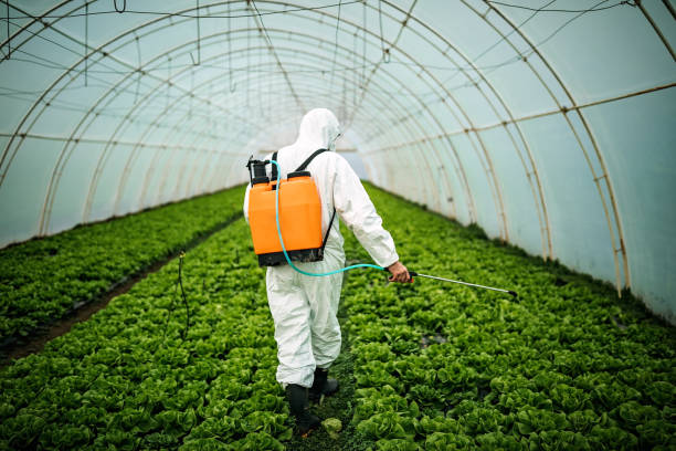 Trusted Lodi, CA Pest Control Experts