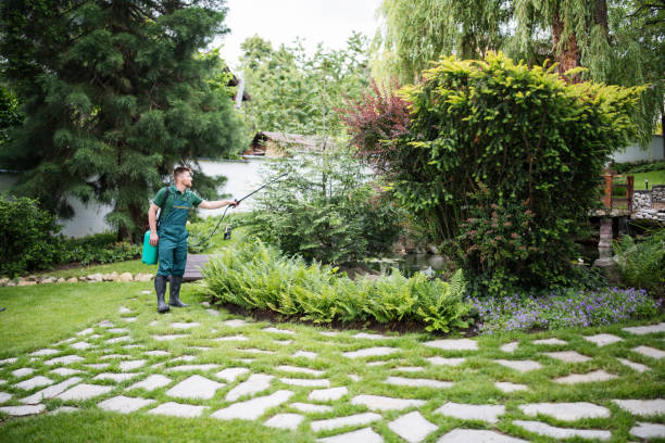 Best Pest Control Near Me in Lodi, CA