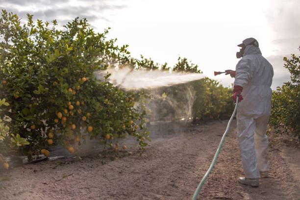 Best Cockroach Control Services  in Lodi, CA