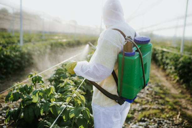 Best Ant Control Services  in Lodi, CA